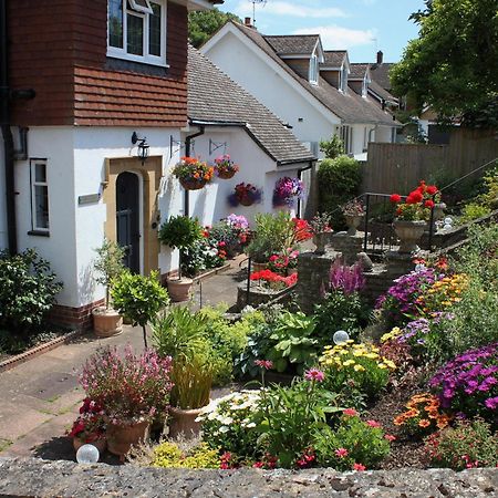 Vila Ashlea At Amberley Sidmouth Exteriér fotografie